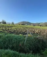 Terreno edificabile per villa mono/ bifamiliare a Tordenaso