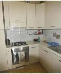 Appartamento - Lucca Appartamento - Lucca