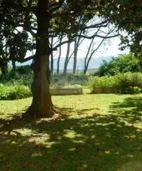 Stabile/Palazzo a Quarrata in provincia di Pistoia Stabile/Palazzo a Quarrata in provincia di Pistoia