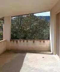 Stabile/Palazzo a Torre Orsaia Stabile/Palazzo a Torre Orsaia