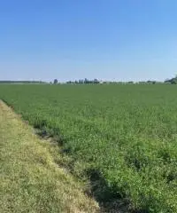 Terreno  Agricolo di 8 ha con pozzo e stalla a Sissa Trecasali