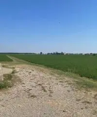 Terreno  Agricolo di 8 ha con pozzo e stalla a Sissa Trecasali