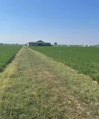 Terreno  Agricolo di 8 ha con pozzo e stalla a Sissa Trecasali