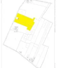 Terreno  Agricolo di 8 ha con pozzo e stalla a Sissa Trecasali