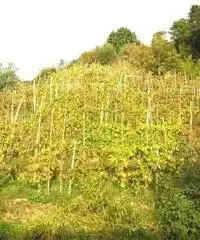 Rustico a Lucca 150mq