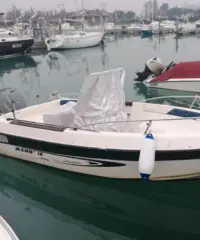 Barca a motore