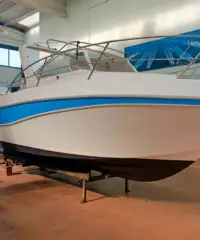 Faeton 730 Sport + Mercruiser 4.5mpi V6 250cv