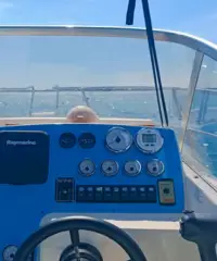 Faeton 730 Sport + Mercruiser 4.5mpi V6 250cv