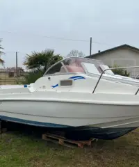Bellingardo 5.50