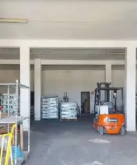 Complesso commerciale con cortile e pertinenze