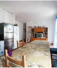 Camere con regolare contratto Camere con regolare contratto