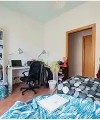 Camere con regolare contratto Camere con regolare contratto