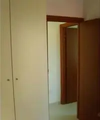 Fittasi camere singole piazza Nicola Amore Fittasi camere singole piazza Nicola Amore