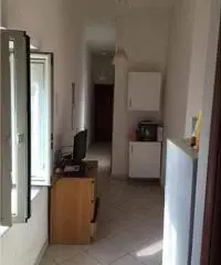 Fittasi camere singole piazza Nicola Amore Fittasi camere singole piazza Nicola Amore
