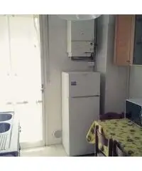 Singole per studentesse da Settembre a Rimini zona top
