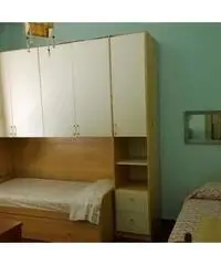 Singole per studentesse da Settembre a Rimini zona top