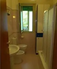 A UNIVERSITARIA AFFITTASI STANZA SINGOLA