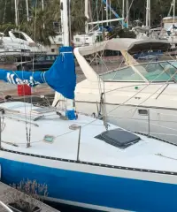 Canados 33