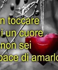 Cerco l’Amore!
