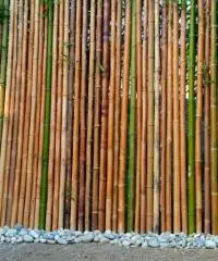 Vendo canne di bambù bambu con diametro da 1 cm. fino a 10 cm.