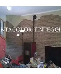 IMBIANCHINO LECCO E BRIANZA FANTACOLOR IMBIANCHINO LECCO E BRIANZA FANTACOLOR