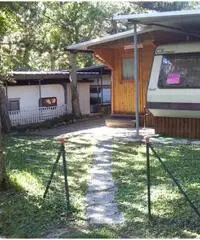 Roulotte con annessa casetta in legno - Macerata