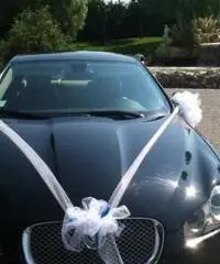 Nolo matrimonio Jaguar Xf eventi Puglia - Bari