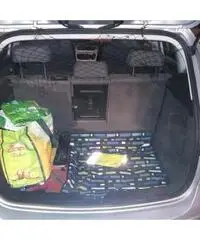 Seat altea Ecomotive - Torino