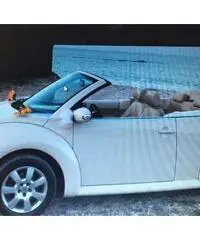 New beetle per matrimonio - Fermo New beetle per matrimonio - Fermo