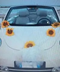 New beetle per matrimonio - Fermo New beetle per matrimonio - Fermo