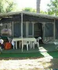 Roulotte - Bungalow a Marina di Massa
