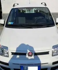 FIAT PANDA 1.2 BZ EURO5  FIAT PANDA 1.2 BZ EURO5