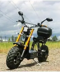 Bicicletta elettrica MOTOR BIKE Daymak mod. beast basic