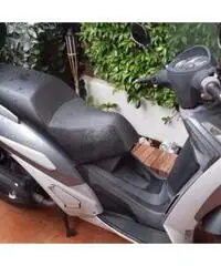 Peugeot geopolis 250