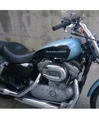 H-d 883 custom