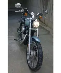 H-d 883 custom