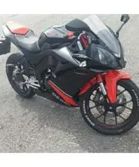 Derbi gpr 125 2010