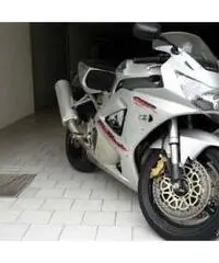 >Honda cbr 900 rr
