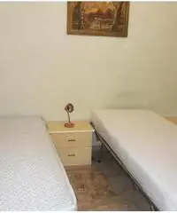 SAN FERDINANDO CALABRIA VACANZA A 250MT DAL MARE SAN FERDINANDO CALABRIA VACANZA A 250MT DAL MARE