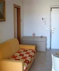 GROTTAMMARE RIVIERA DELLE PALME