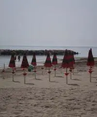 GROTTAMMARE RIVIERA DELLE PALME
