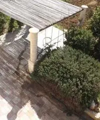 Villa dei Primi 7km da Gallipoli