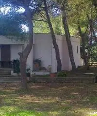 PESCOLUSE: Villetta al mare PESCOLUSE: Villetta al mare