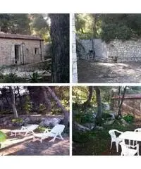 Villa Luisa Tricase Porto, Le(Salento) Villa Luisa Tricase Porto, Le(Salento)