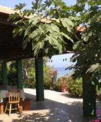 Villa sul Mare con accesso diretto in Spiaggia Villa sul Mare con accesso diretto in Spiaggia