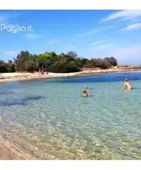 Vacanza in Salento dal 13 al 21 agosto per single over 45