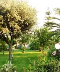 SPLENDIDA dependance immersa nel verde con posto auto SPLENDIDA dependance immersa nel verde con posto auto