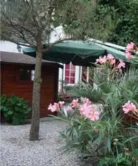 Maggio o giugno 2016 appin villa con uso del fresco giardino