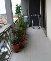 Vacanze Roma e Castelli Romani - Lo Cost