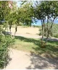 Monolocale a 50 metri spiaggia